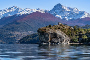 Lenga trees on the mountainside above Lago General Carrera