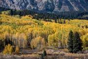 Kebler Pass