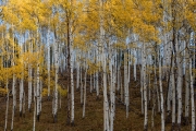 Kebler Pass