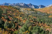 scrub oak, San Juan Range