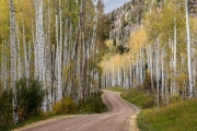 Aspens, San Juan Range