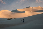 Mesquite Dunes