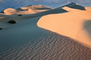 Mesquite Dunes