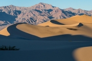 Mesquite Dunes