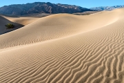 Mesquite Dunes