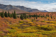 tiaga, Denali National Park