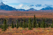 tiaga, Denali National Park - Denali in the background