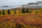 clearing clouds, Denali National Park