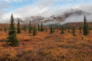 clearing clouds, Denali National Park