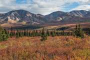 tiaga, Denali National Park