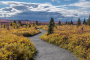 tiaga, Denali National Park