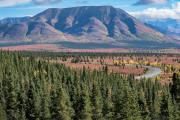 tiaga, Denali National Park