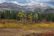 tiaga, Denali National Park