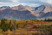 Denali Highway