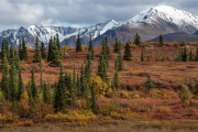 Denali Highway