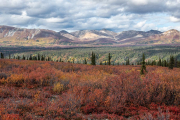 Denali Highway