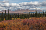 Denali Highway