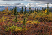 Denali Highway