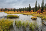 Denali Highway