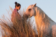 Camargue stallion and guardian