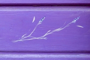 Valensole