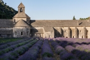Abbaye de Senanque