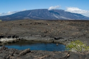 lava flow, La Cumbre volcano, Fernandina Island