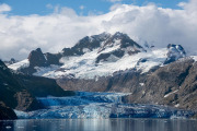 Johns Hopkins Glacier