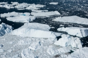 icebergs flowing from the icefjord, Ilulissat