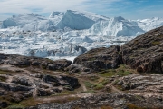 view of the icefjord from Sermermiut