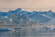 icebergs, Ilulissat