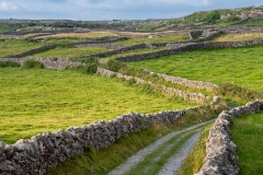 Ireland West Coast