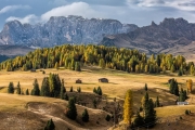 Alpe di Suisi, Rosengarten in the background