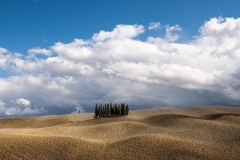 landscape in Tuscany