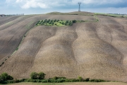 crete senesi, Asciano