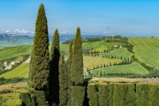 cypress lined road, Val d'Orcia