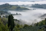 morning fog, San Gimignano