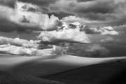 cypress, San Quirico