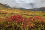 Hatcher Pass