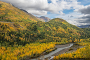 aspens, Chugach Mountains