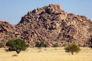 Damaraland