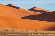 Sossusvlei