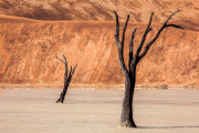 Deadvlei