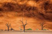 Deadvlei