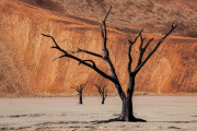 Deadvlei