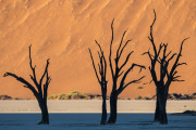 Deadvlei