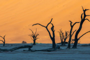 Deadvlei