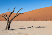 Deadvlei