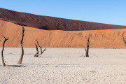 Deadvlei