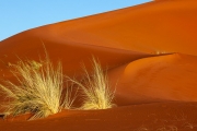 Sossusvlei